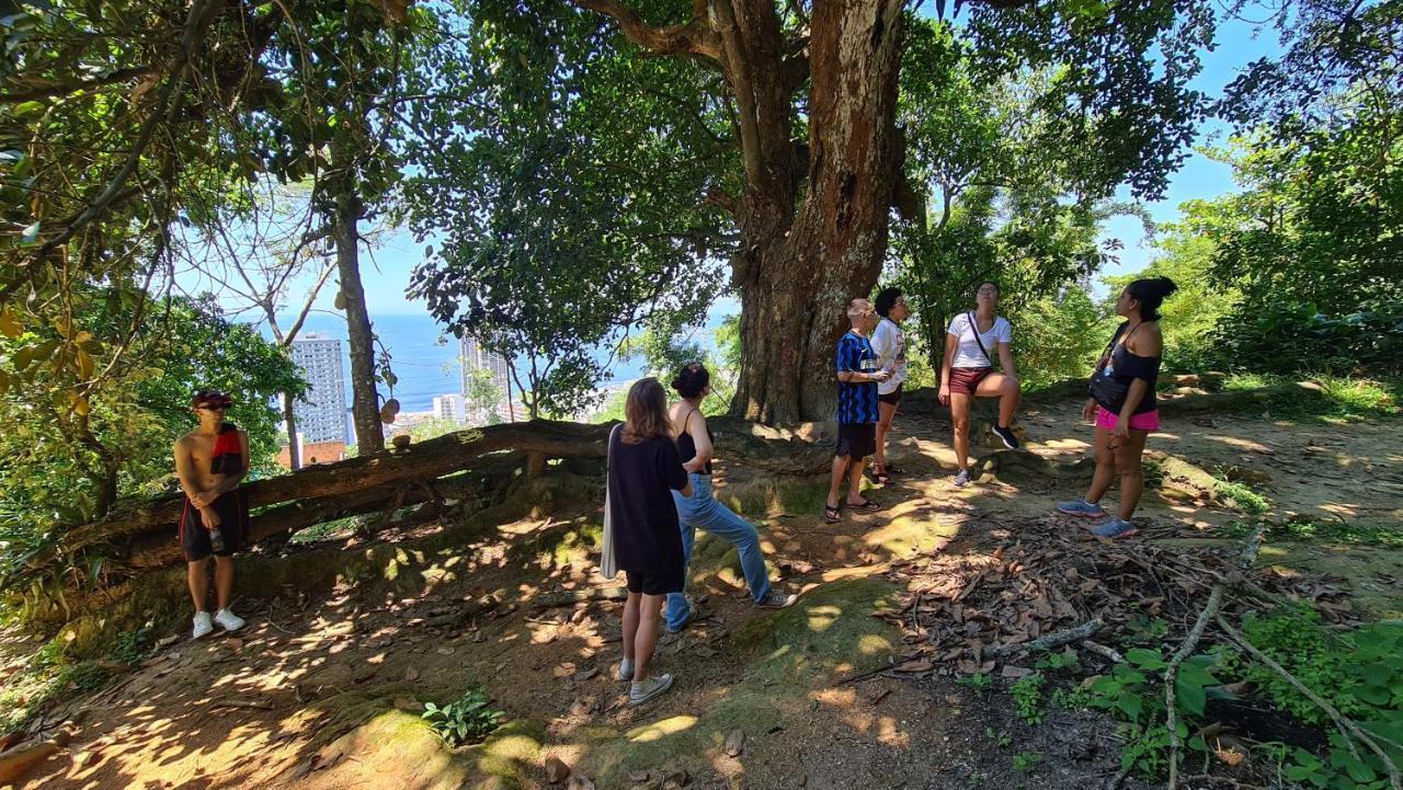Eco Pousada Estrelas da Babilônia Rio de Janeiro Exterior foto